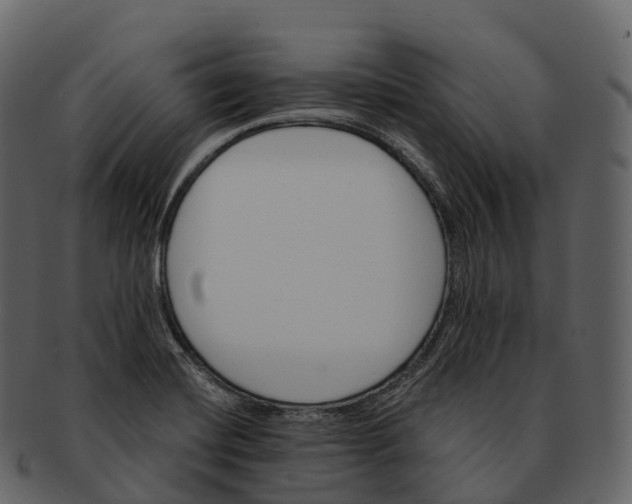 X0000092321420200710051248