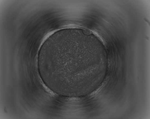 X0000092321421200710051248