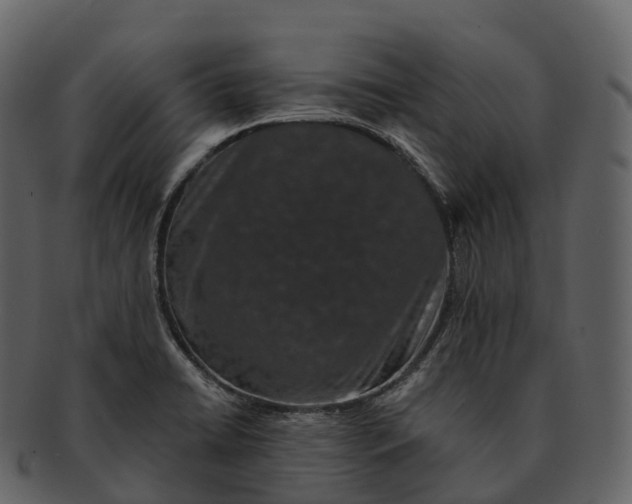 X0000092321422200710051248