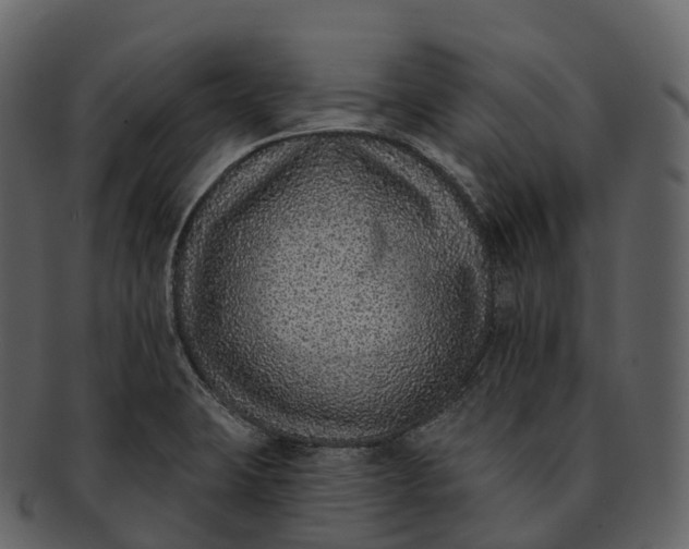 X0000092321423200710051248