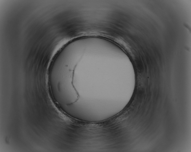 X0000092321424200710051248