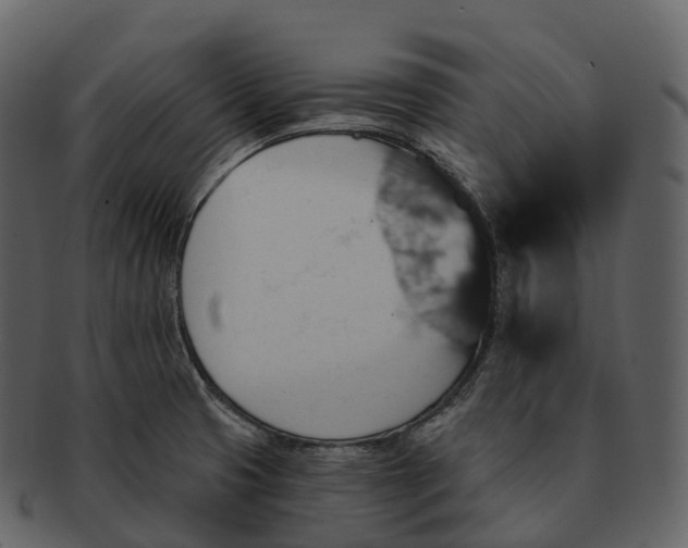 X0000092321425200710051248