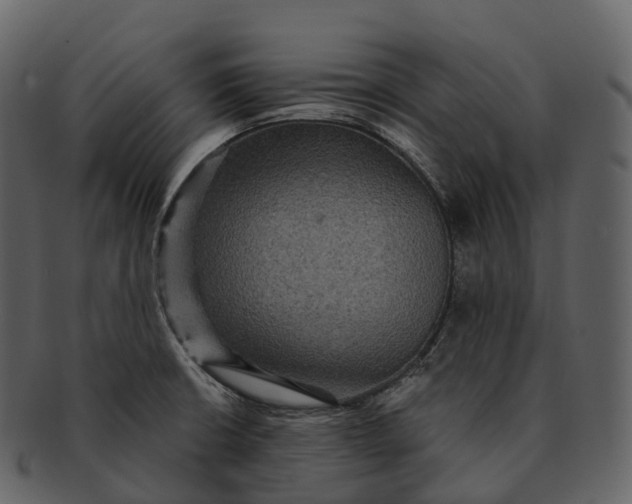 X0000092321426200710051248