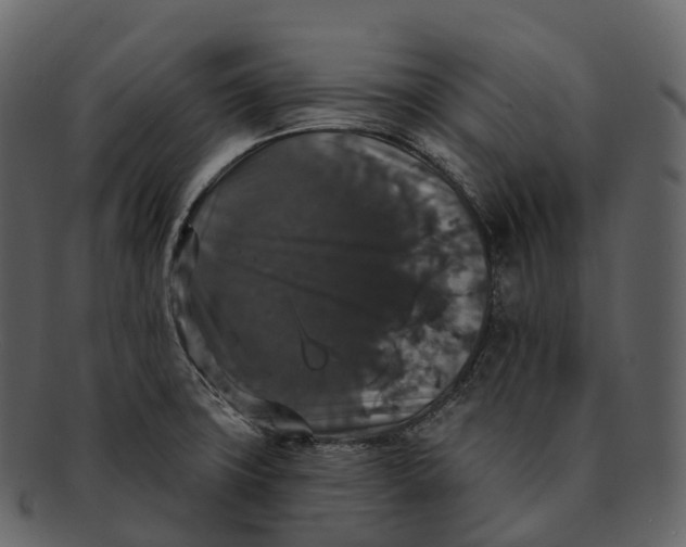X0000092321427200710051248