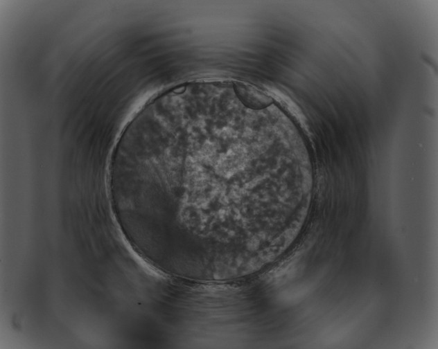 X0000092321429200710051248