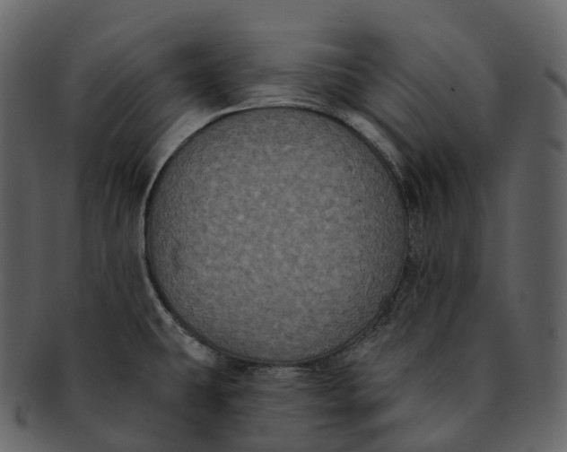 X0000092321431200710051248
