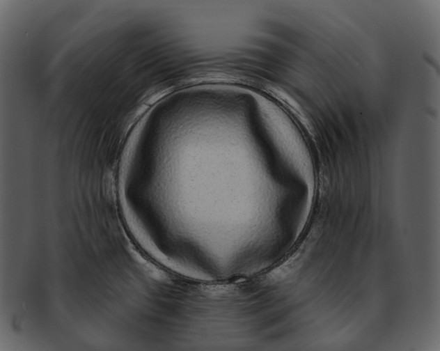 X0000092321433200710051248