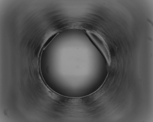 X0000092321434200710051248