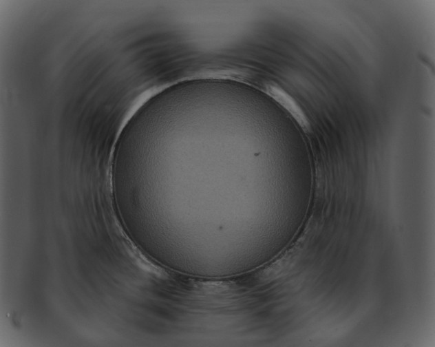 X0000092321436200710051248