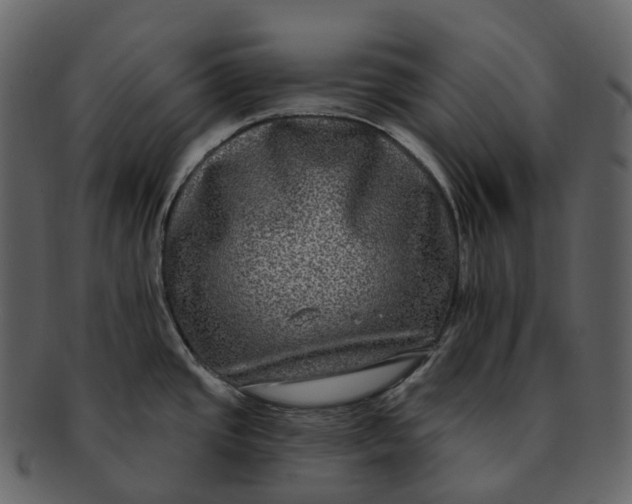 X0000092321437200710051248