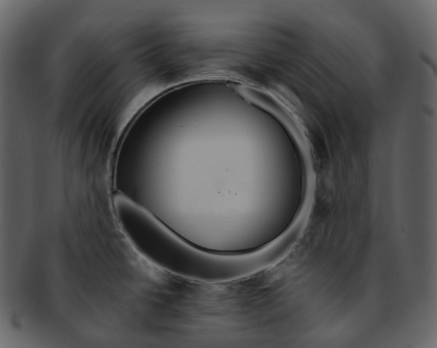 X0000092321438200710051248