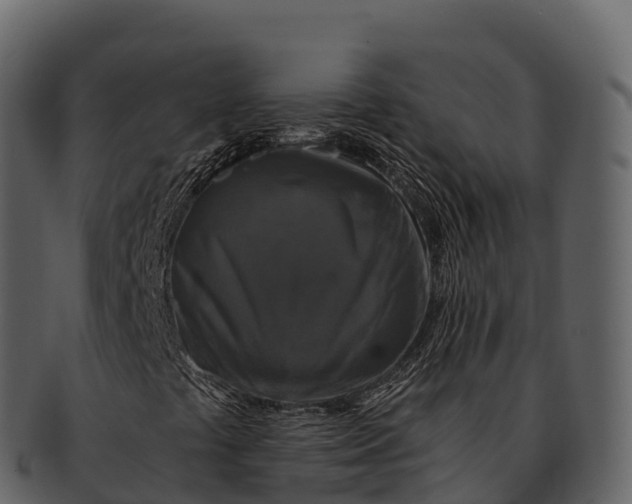 X0000092321441200710051248