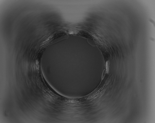X0000092321443200710051248