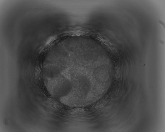 X0000092321446200710051248