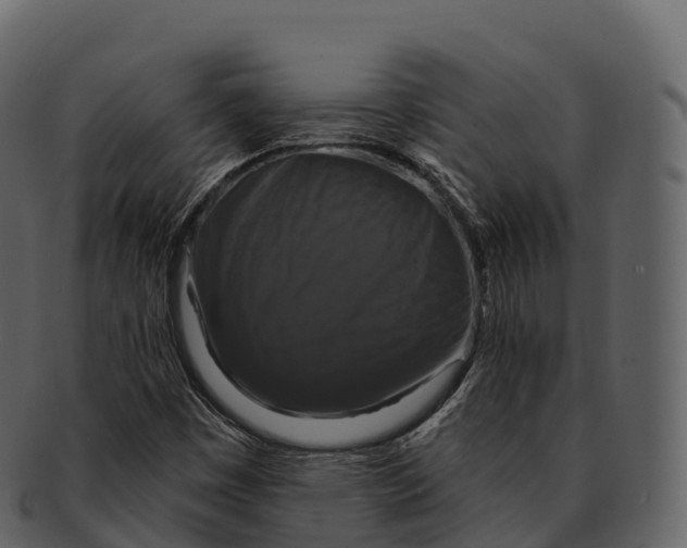 X0000092321449200710051248