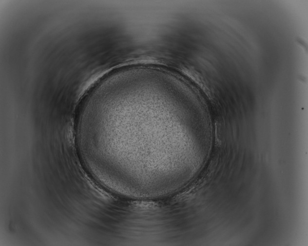 X0000092321452200710051248