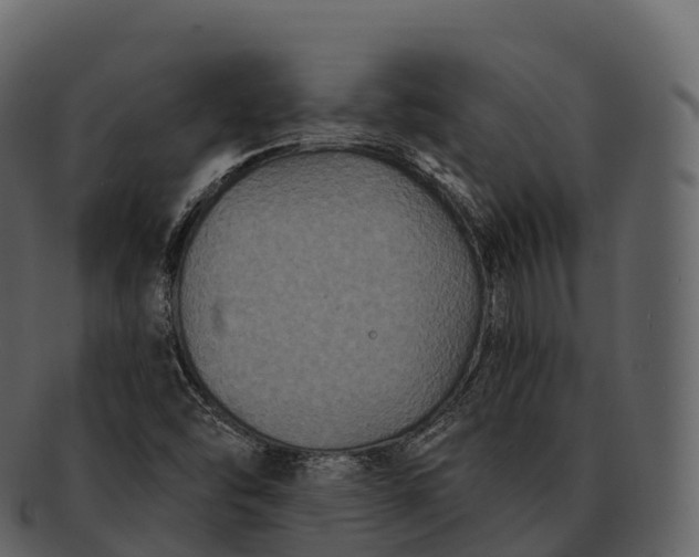 X0000092321454200710051248
