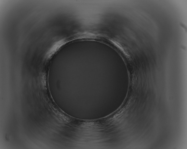 X0000092321455200710051248