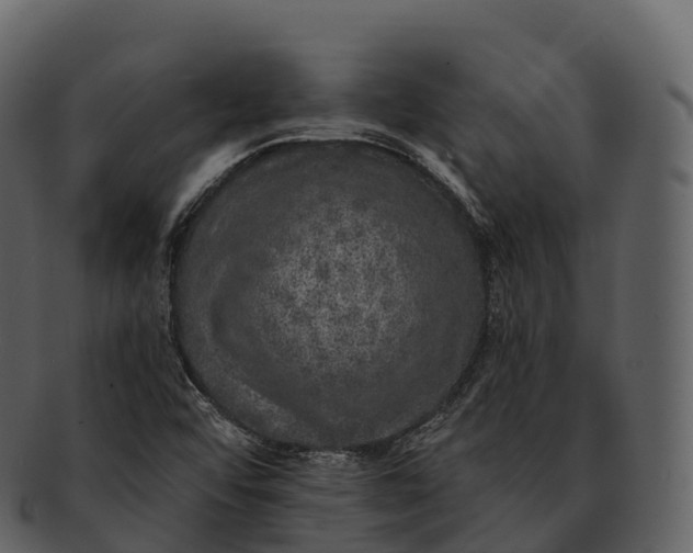 X0000092321456200710051248