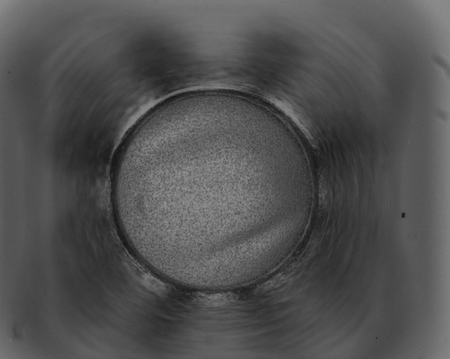 X0000092321460200710051248