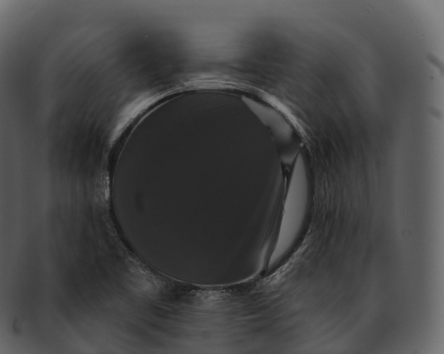 X0000092321461200710051248
