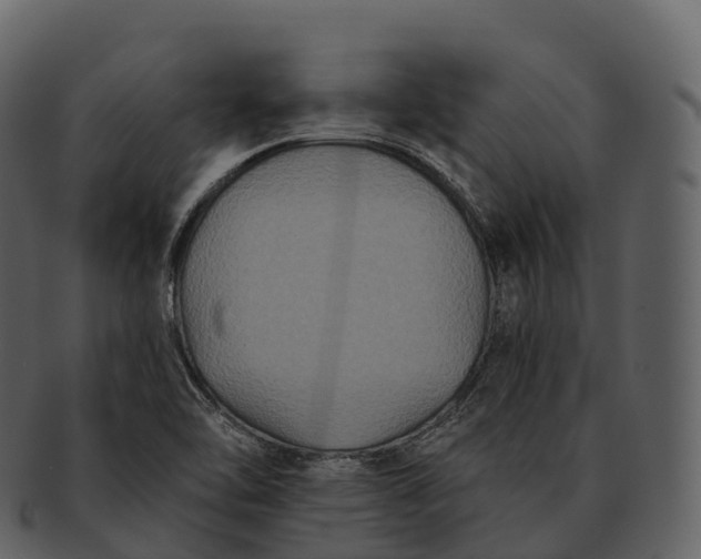 X0000092321462200710051248