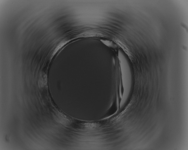 X0000092321465200710051248