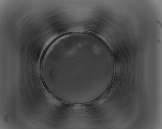 X0000092321466200710051248