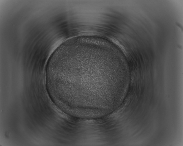 X0000092321467200710051248