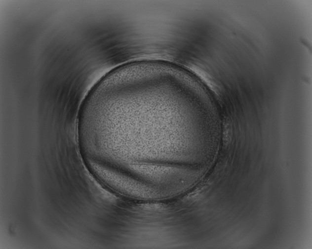 X0000092321468200710051248