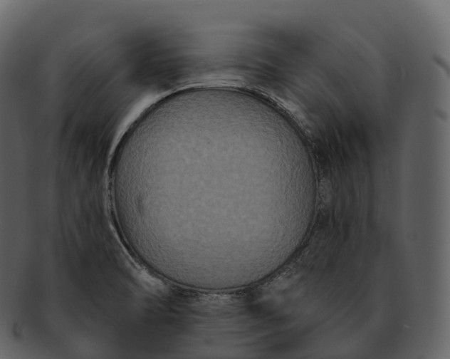X0000092321470200710051248