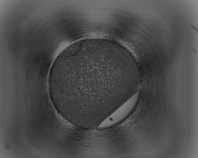 X0000092321471200710051248