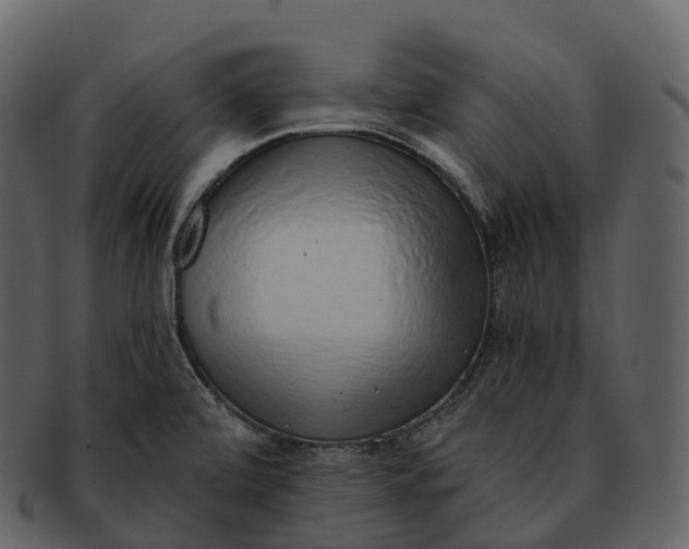 X0000092321472200710051248