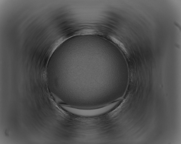 X0000092321473200710051248