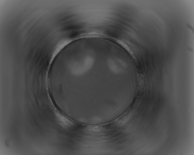 X0000092321474200710051248