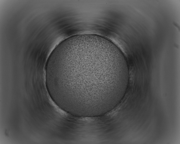 X0000092321476200710051247