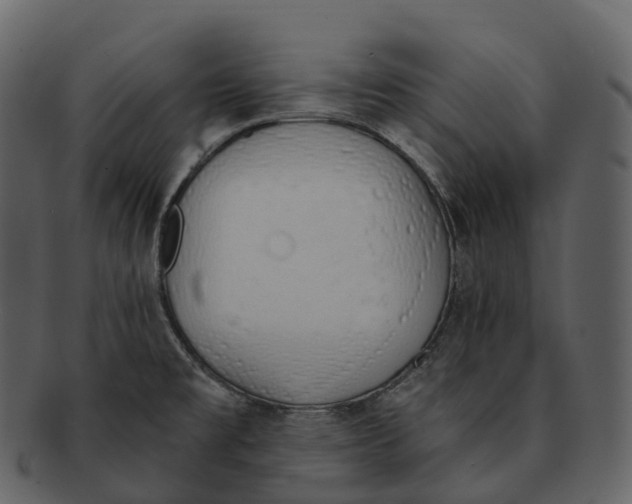 X0000092321477200710051247