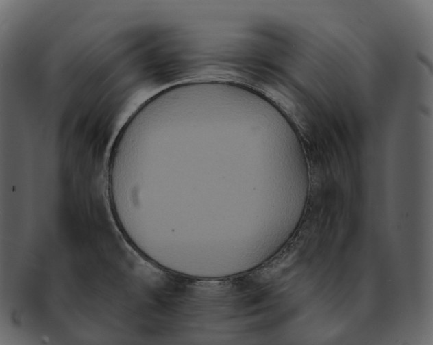 X0000092321478200710051247