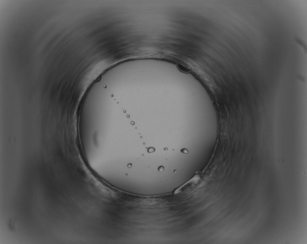 X0000092321479200710051247