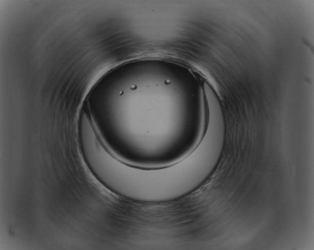X0000092321483200710051247