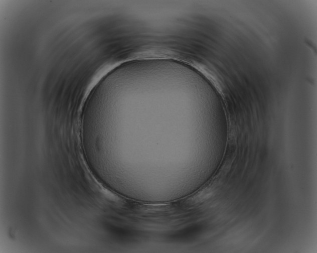 X0000092321486200710051247
