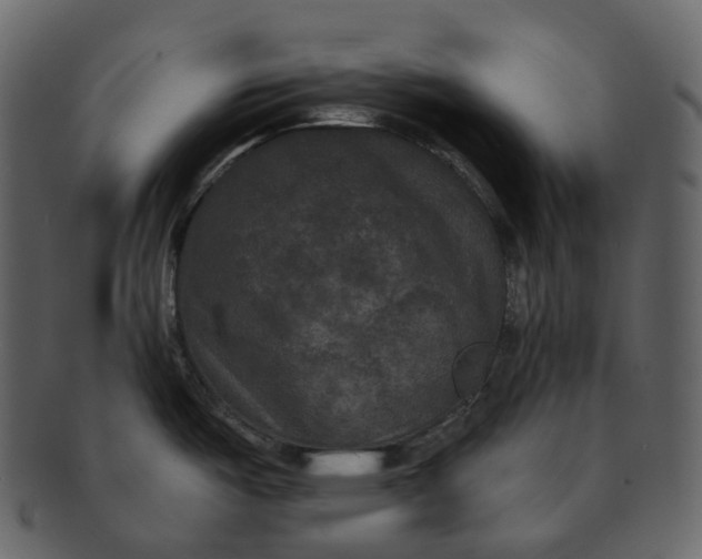 X0000092321487200710051247