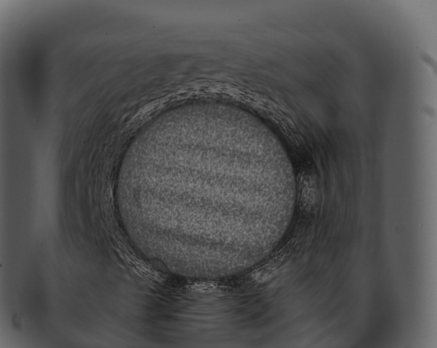 X0000092321489200710051247
