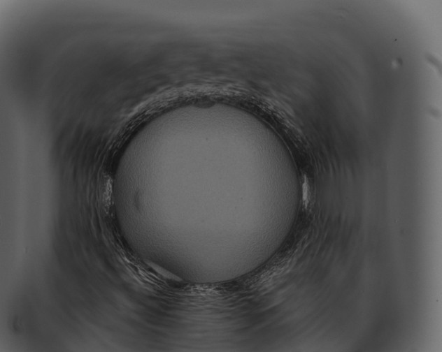 X0000092321492200710051247