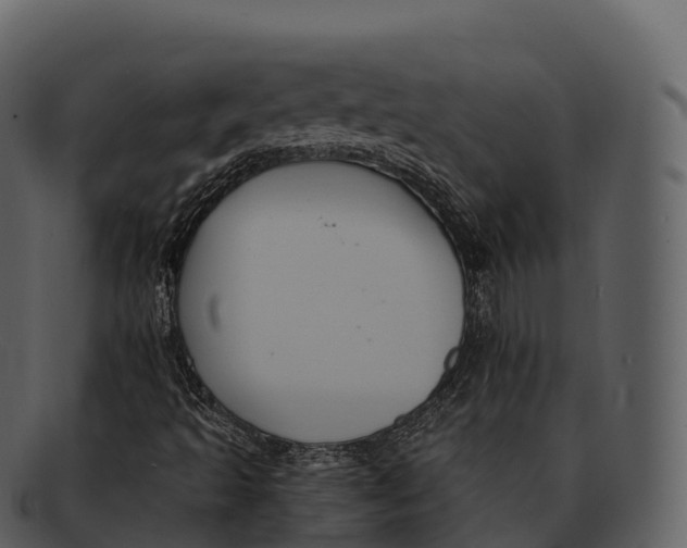 X0000092321493200710051247
