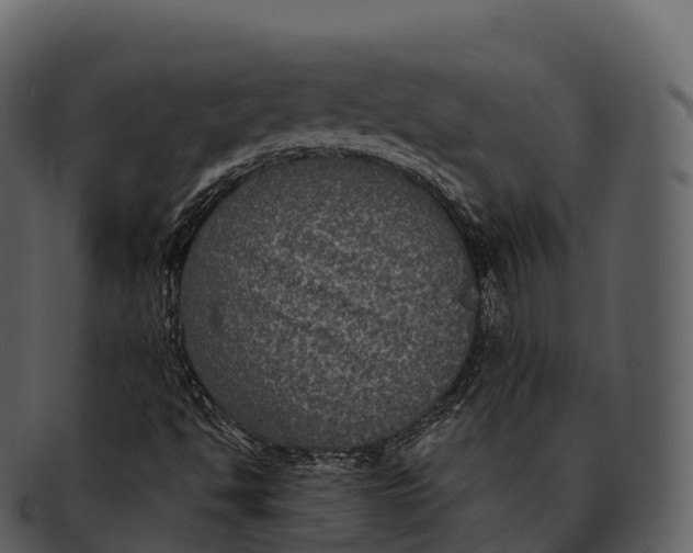 X0000092321494200710051247