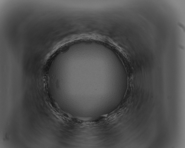 X0000092321496200710051247