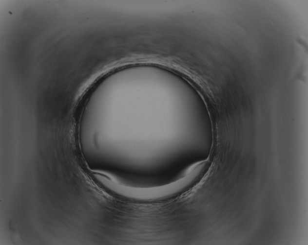 X0000092321502200710051247