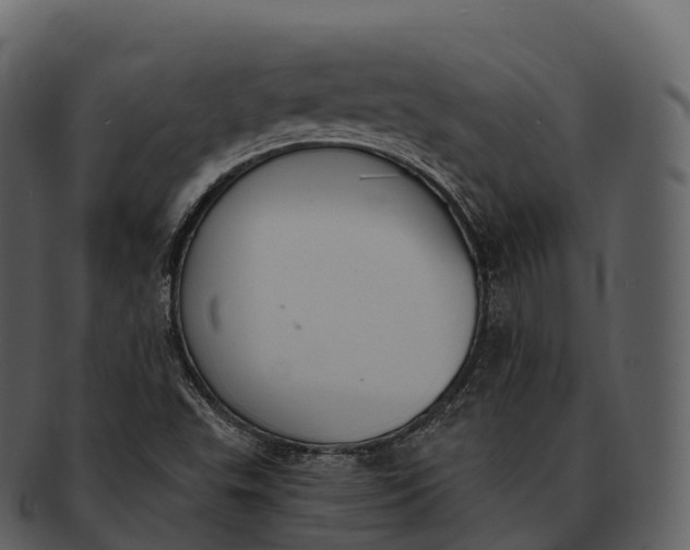 X0000092321503200710051247