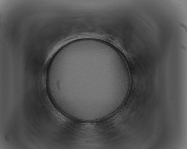 X0000092321504200710051247